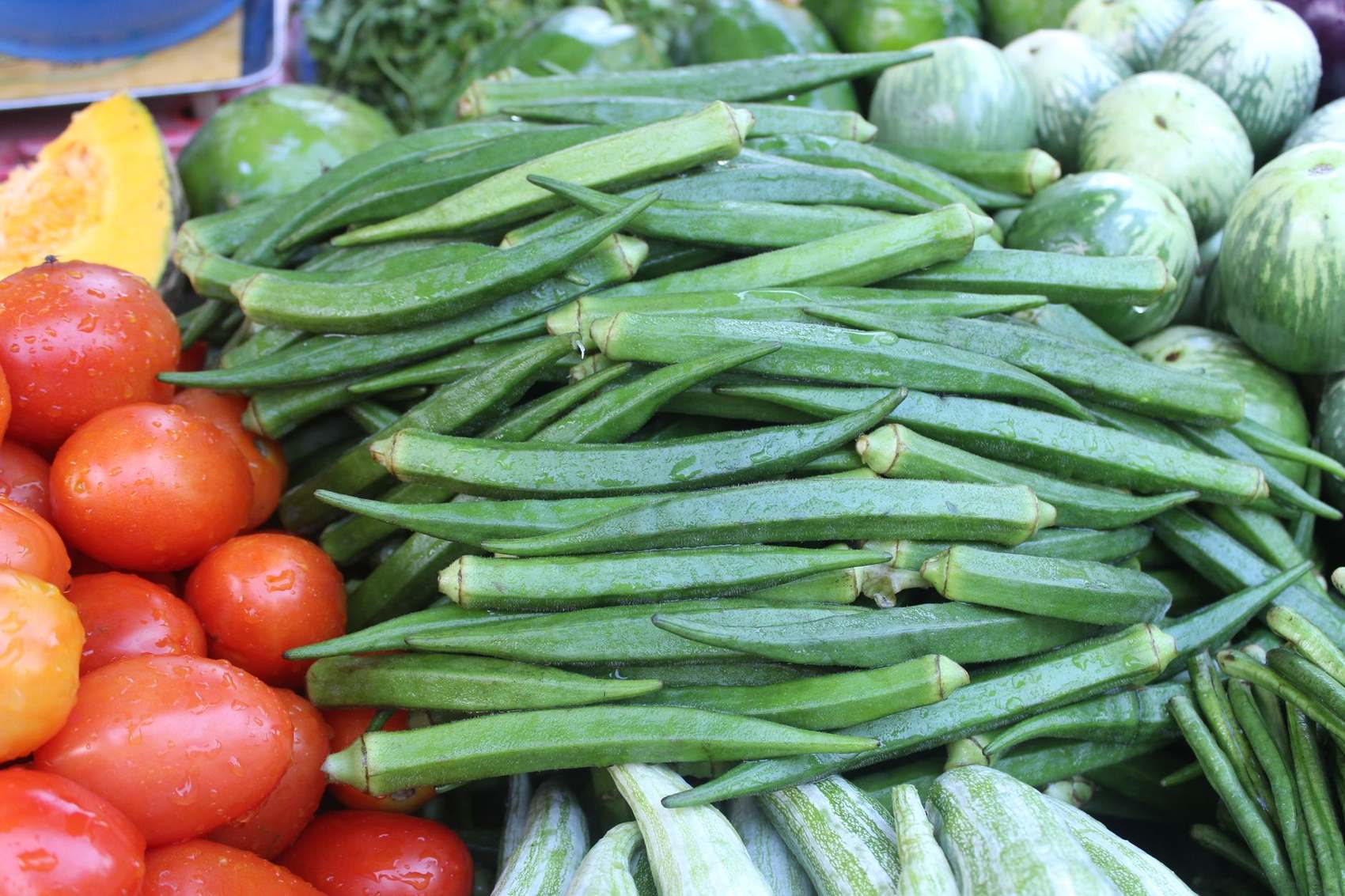 Fresh okra grown at Pure Nature Farm